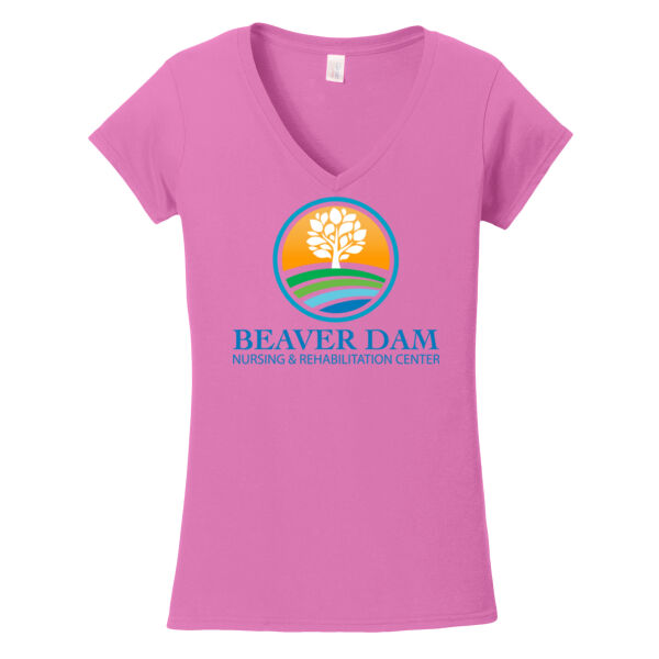 BD - Softstyle ® Ladies Fit V Neck T Shirt Thumbnail